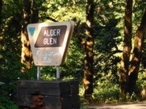 Alder-Glen