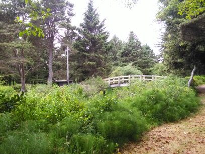 Foot_bridge_at_the_beach